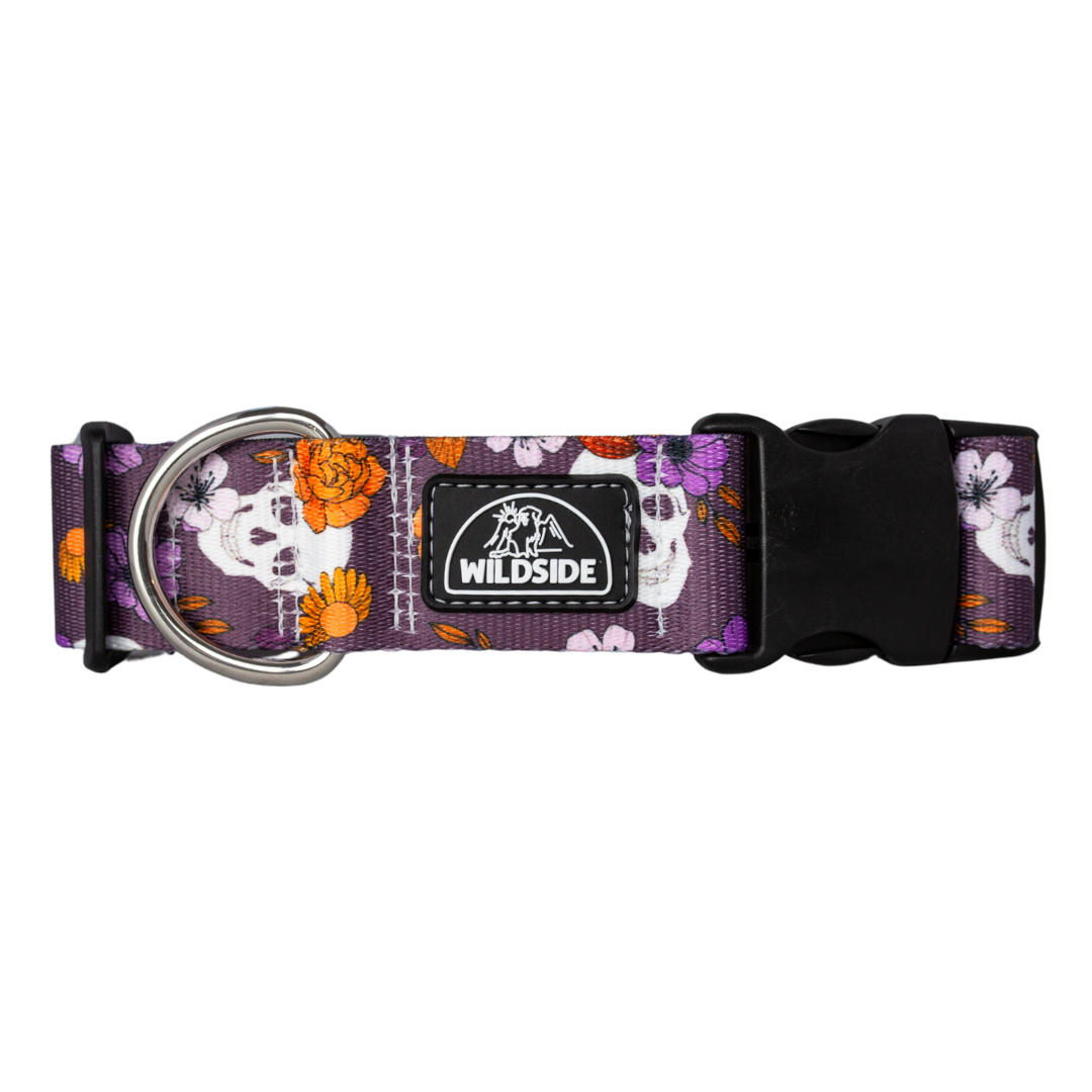 Purple floral dog collar with skull design – Skully Garden

