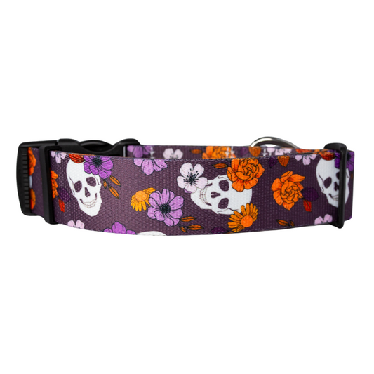 Halloween dog collar with skulls and flowers on purple base