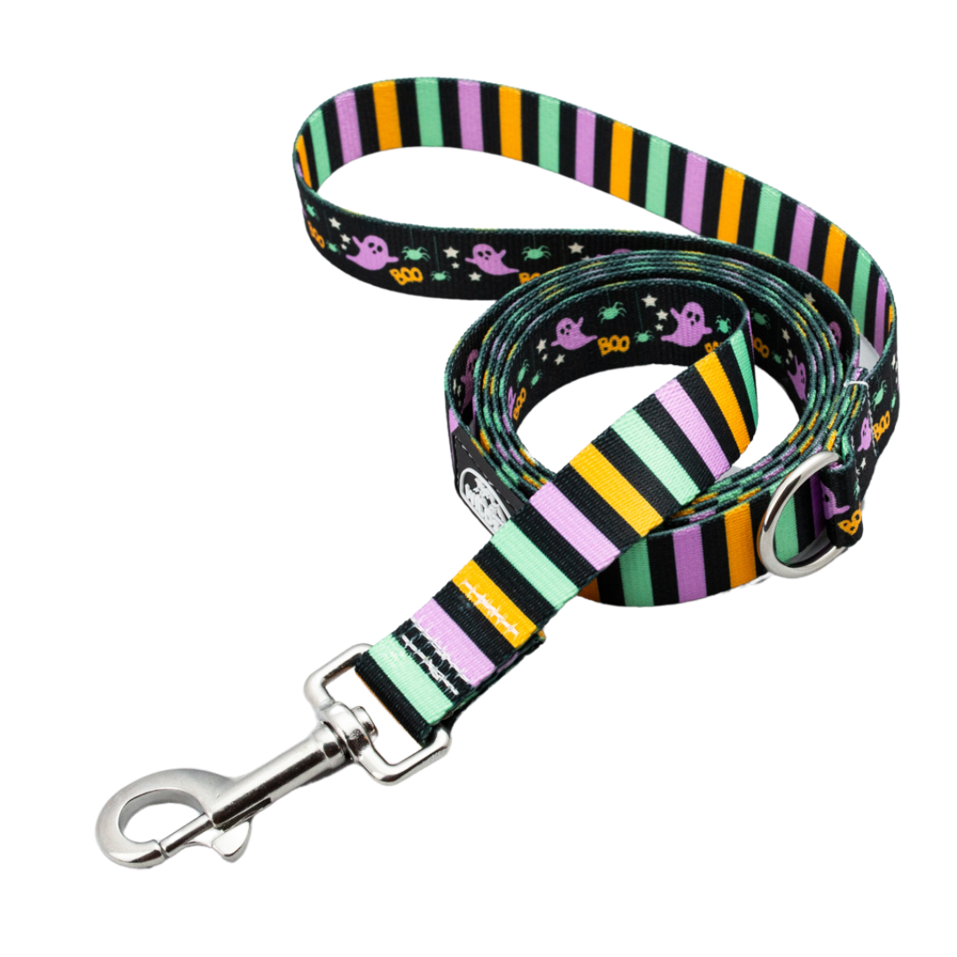 Too Cute To Spook Rust Proof Dog Leash (Dual Designs)