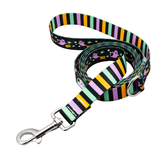 Too Cute To Spook Rust Proof Dog Leash (Dual Designs)