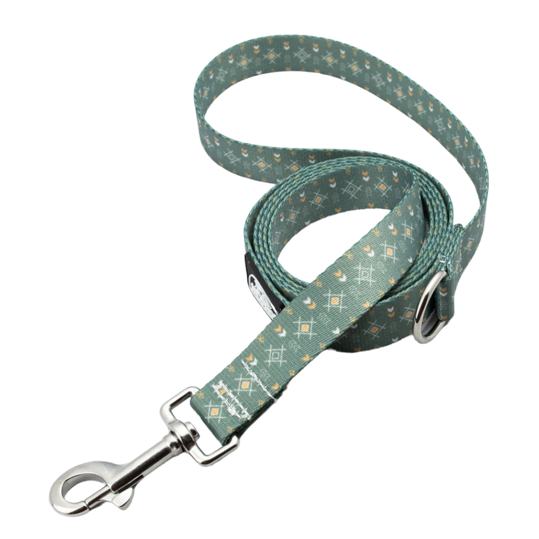 Sage Sunset 6ft Dog Leash