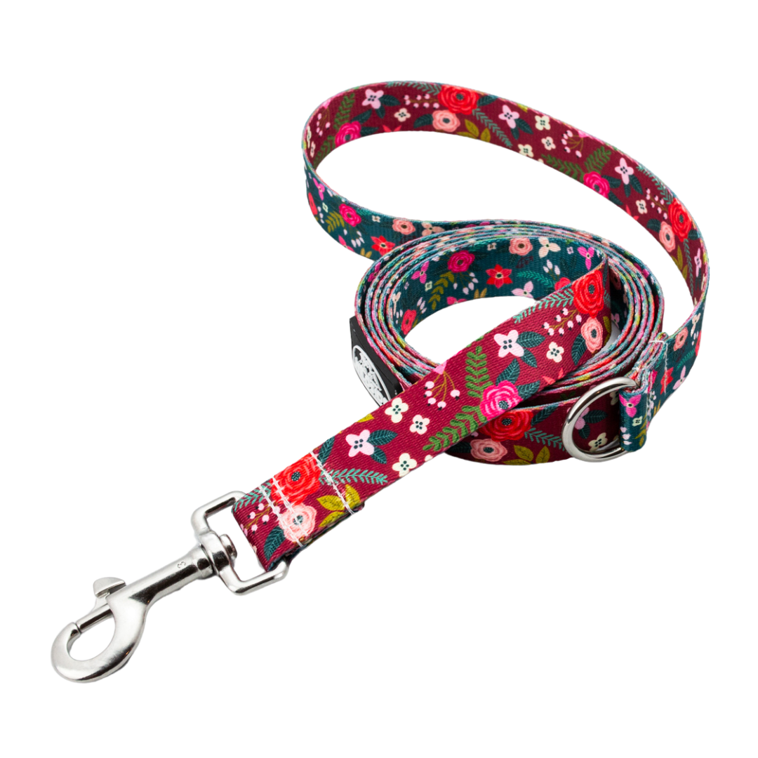 Autumn Blossoms 6ft Dog Leash (Dual Designs)