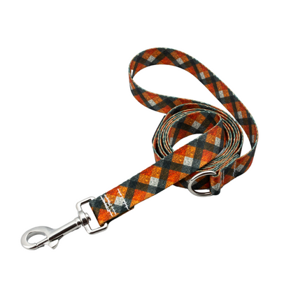 Best Hands-Free Leash with Traffic Handle