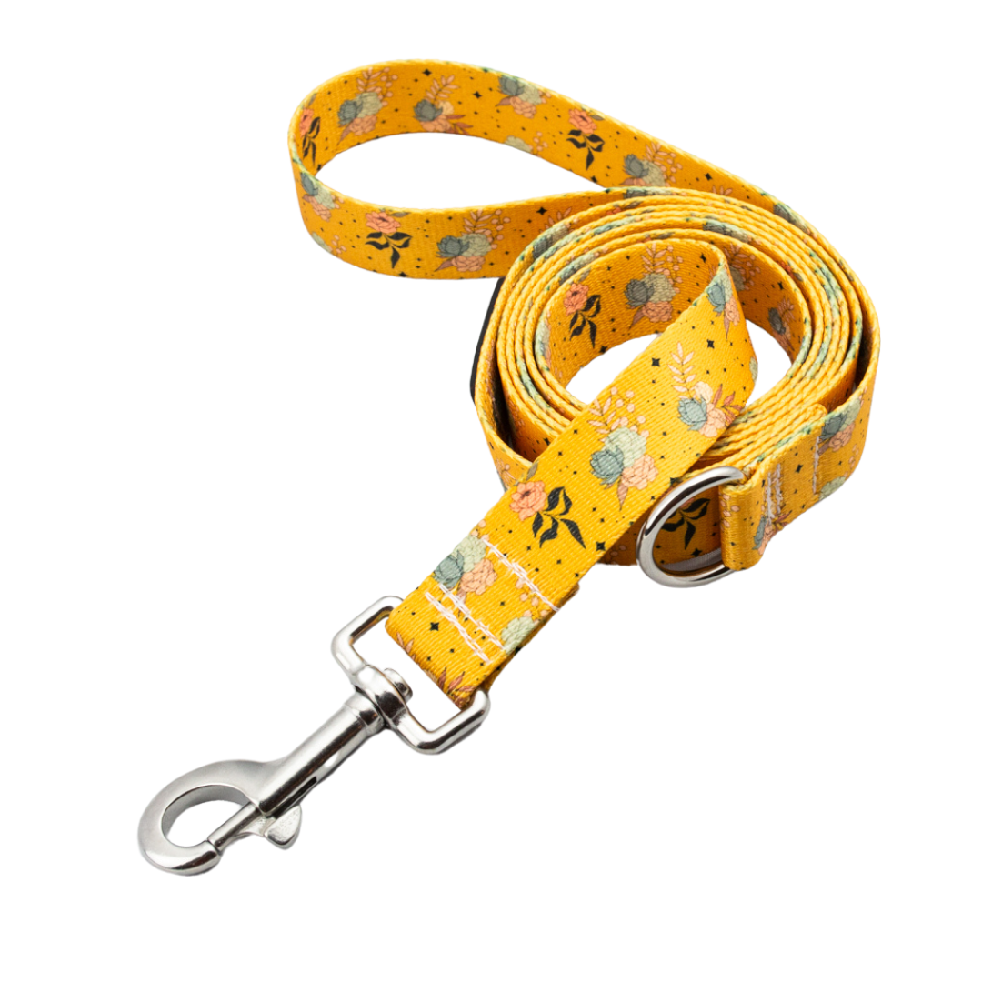 Multi-Function Hands-Free Leash with Traffic Handle