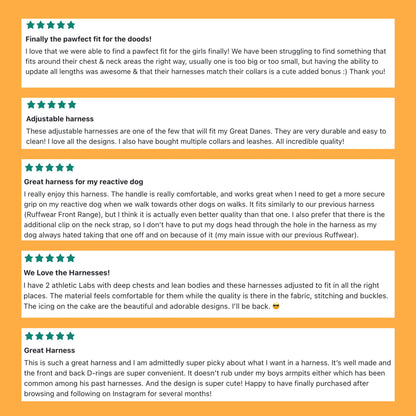 Aurora Peak Adjustable Click N' Go Dog Harness With Handle