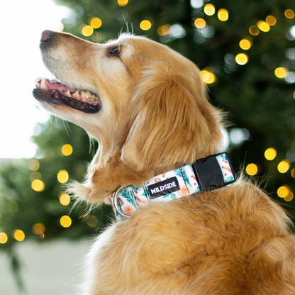Winter Spice Rust Proof Dog Collar