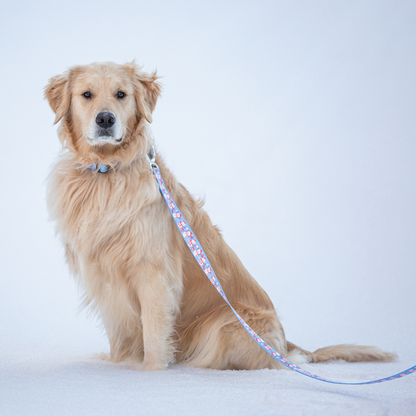 Cutesy Snowman Rust Proof Dog Collar