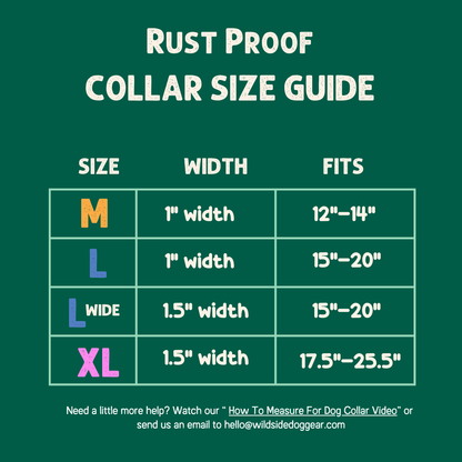 Aurora Peak Rust Proof Collar