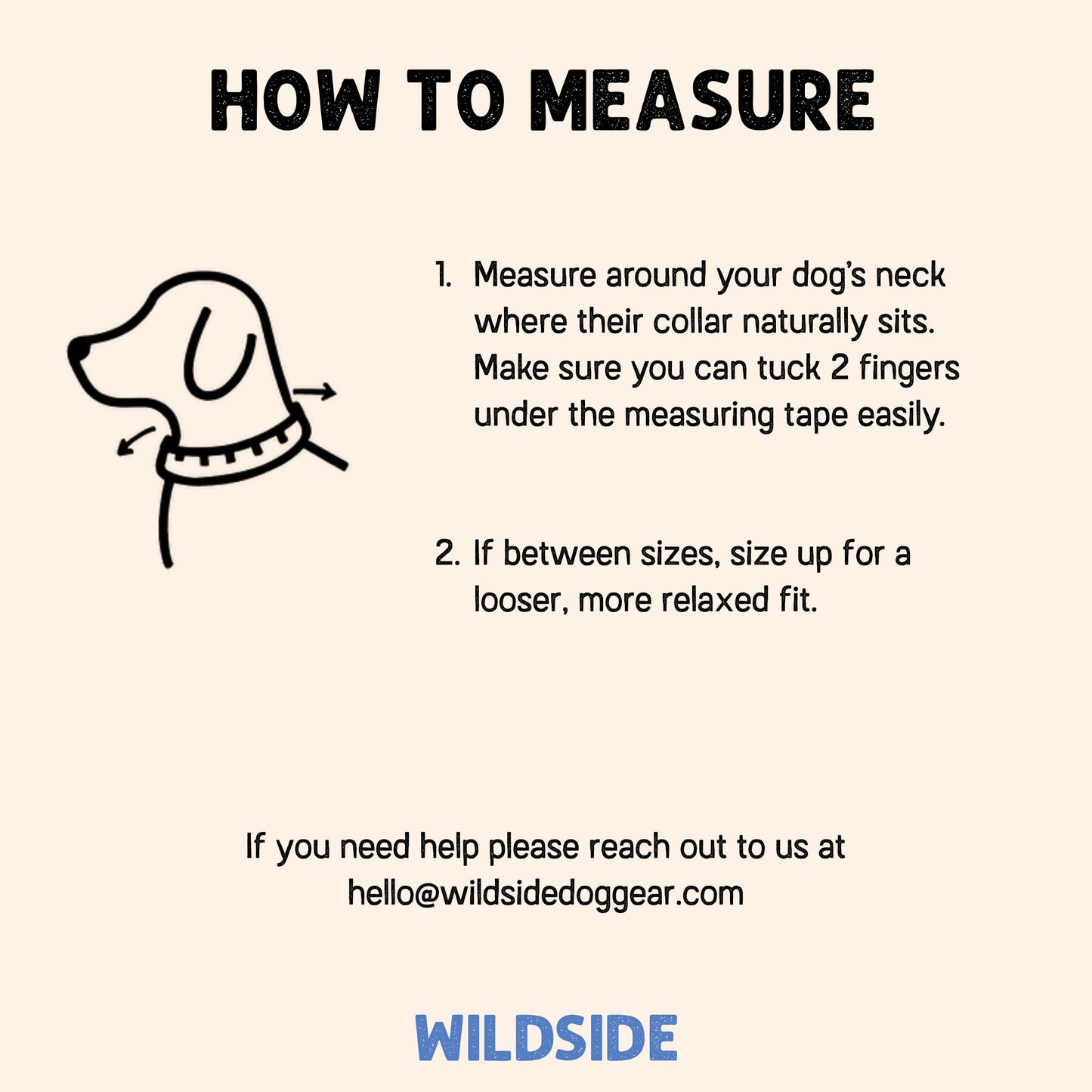 Instructions on how to measure a dog's neck for a collar, with a contact email provided.