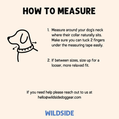 Instructions on how to measure a dog's neck for a collar, with a contact email provided.