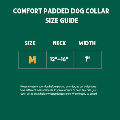 Summit Padded Comfort Dog Collar