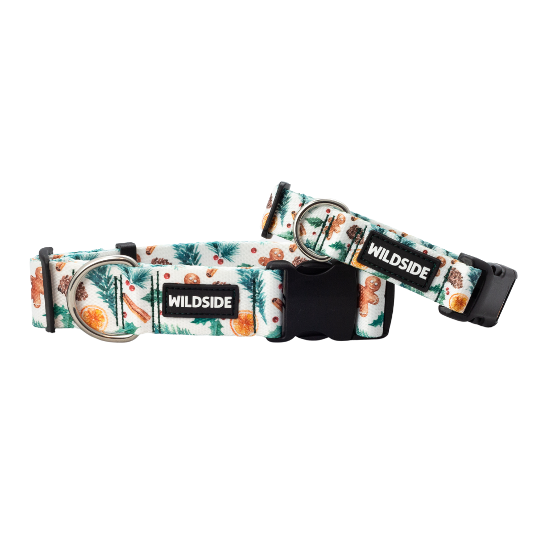 Winter Spice Rust Proof Dog Collar