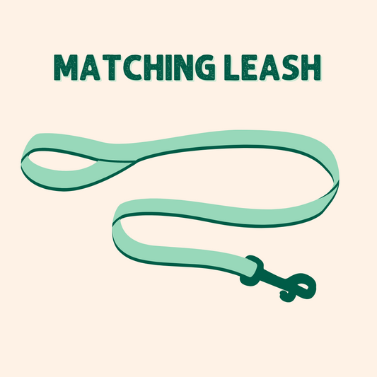 Matching Leash