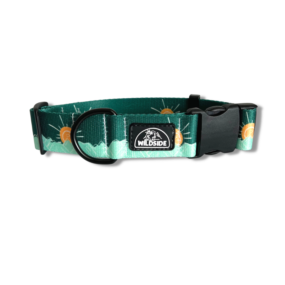 Tahoma Peak Dog Collar