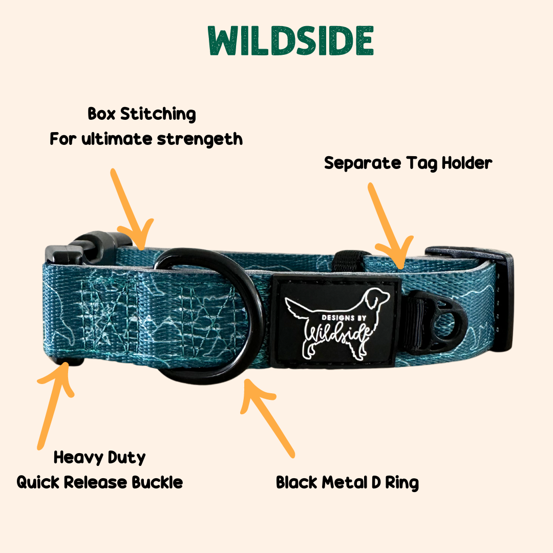 dog collar for french bulldog dog collar quick release dog collar medium dog collar small dog collar heavy duty