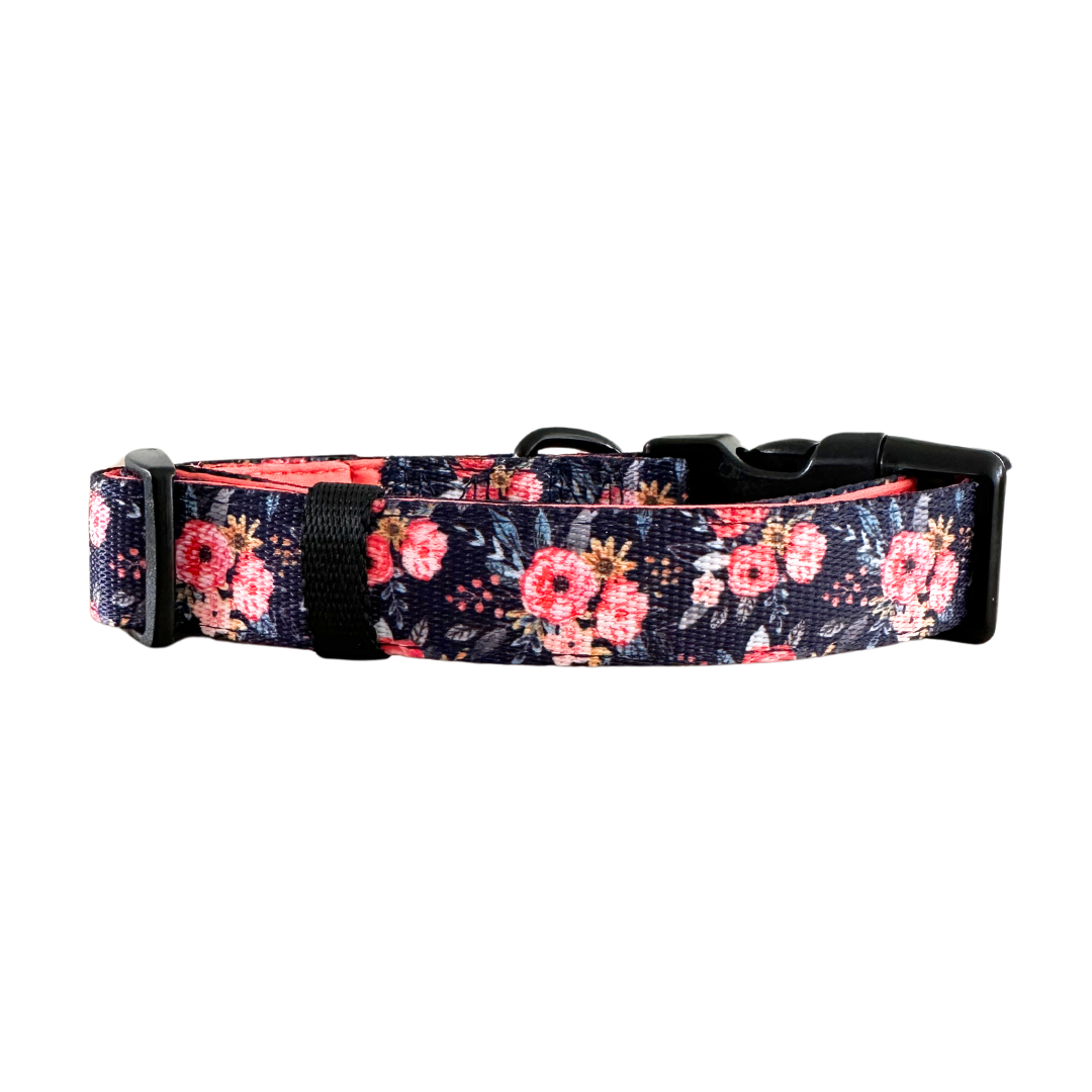 Wild Meadows Padded Comfort Dog Collar