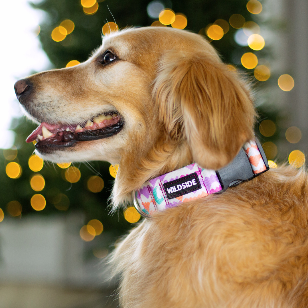 Yeti in the Alps (Purple Version) Rust Proof Dog Collar