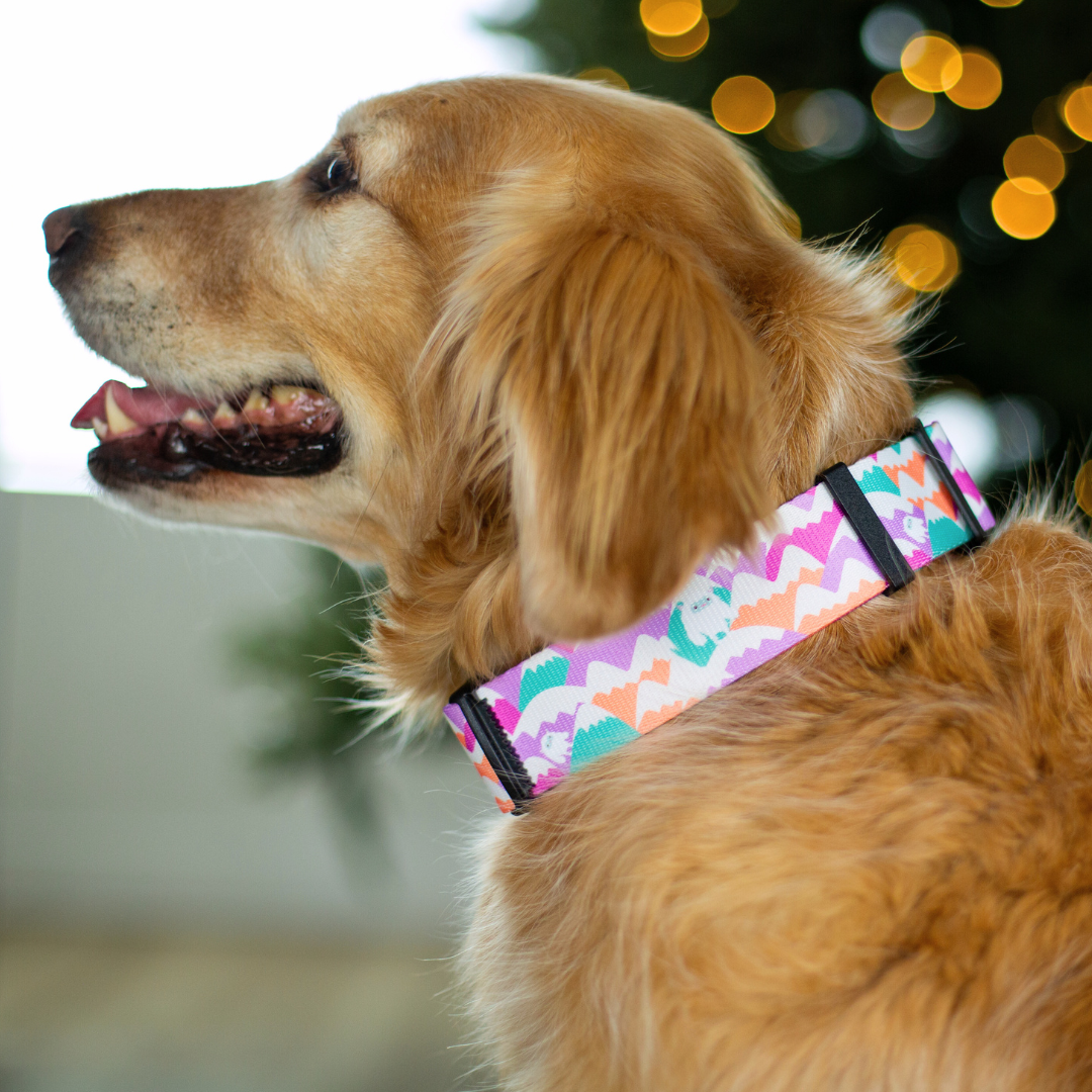 Yeti in the Alps (Purple Version) Rust Proof Dog Collar