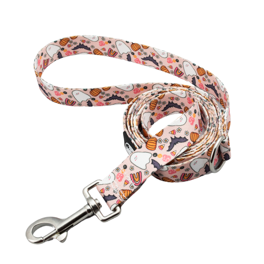Cutie Pie Pink Ghost Rust Proof Dog Leash