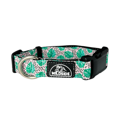 Dotty Monstera Rust Proof Dog Collar