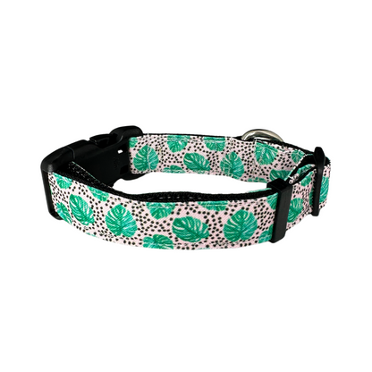 Dotty Monstera Rust Proof Dog Collar