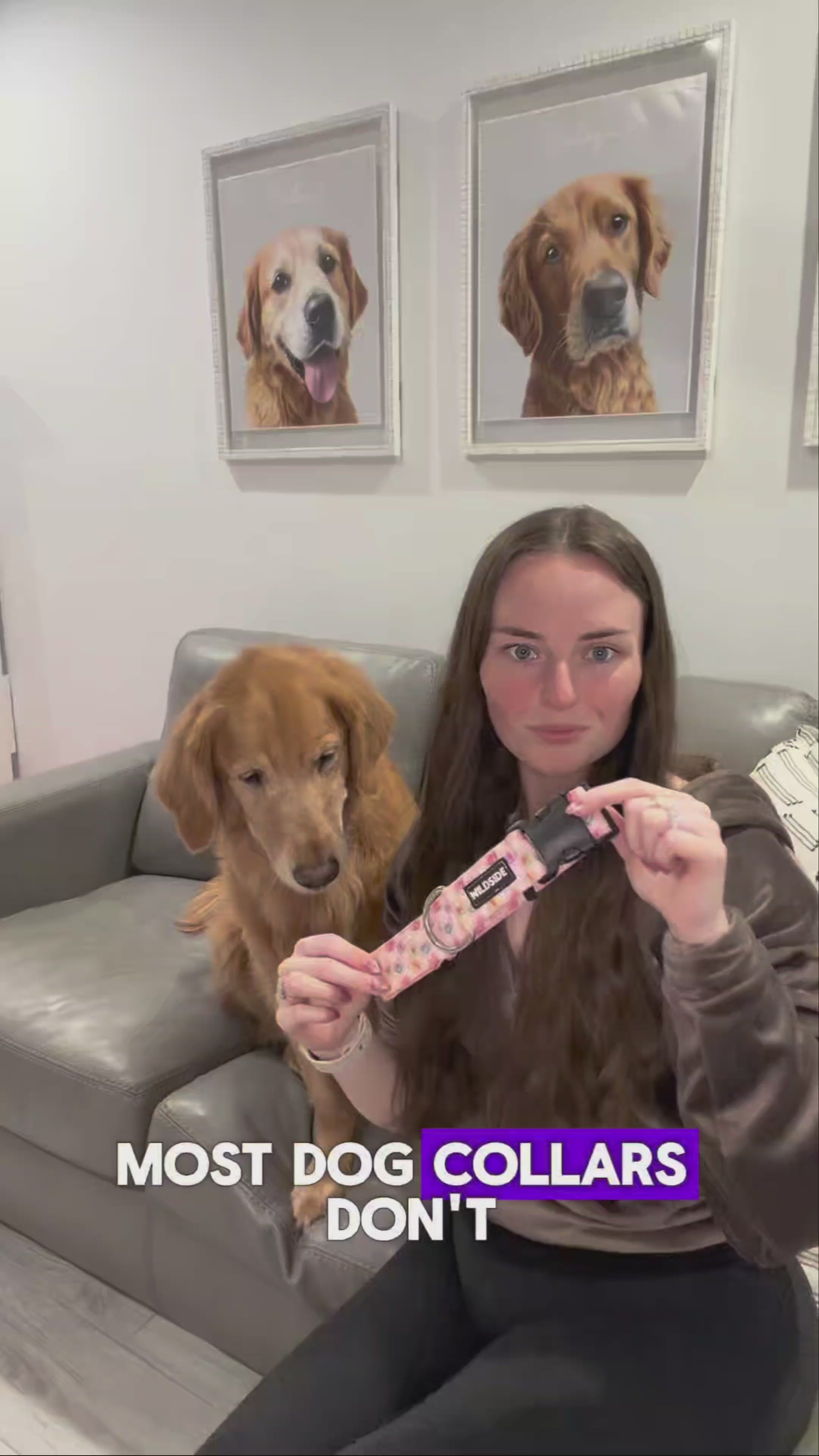 Load video: customer review for durable dog gear wildside dog gear rust proof dog collar for beach dogs and golden retriever dog best durable dog gear for large dogs