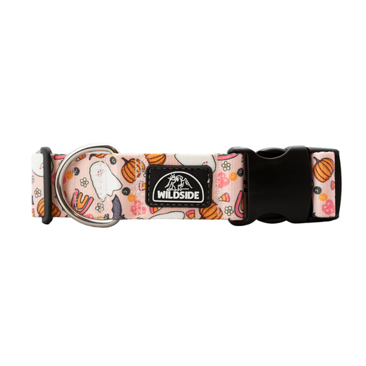 Cutie Pie Pink Ghost Rust Proof Dog Collar