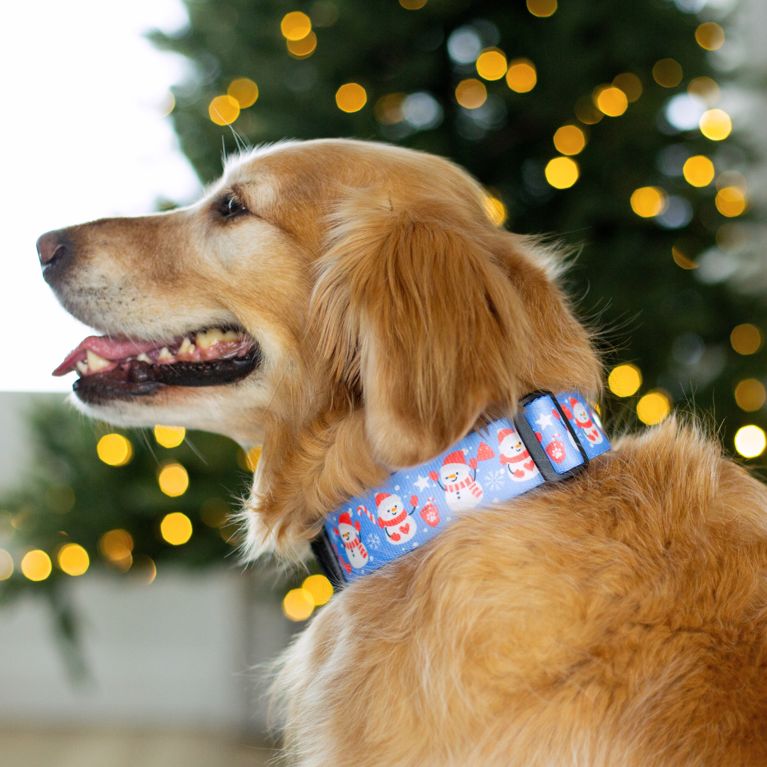 Cutesy Snowman Rust Proof Dog Collar