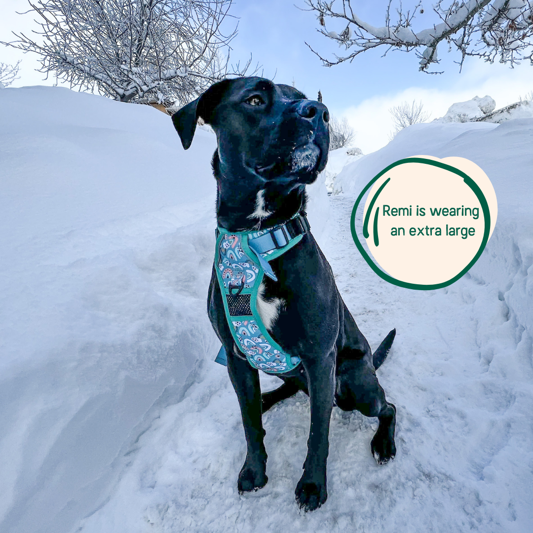 Adjustable Dog Harness with Handle