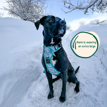 Adjustable Dog Harness with Handle