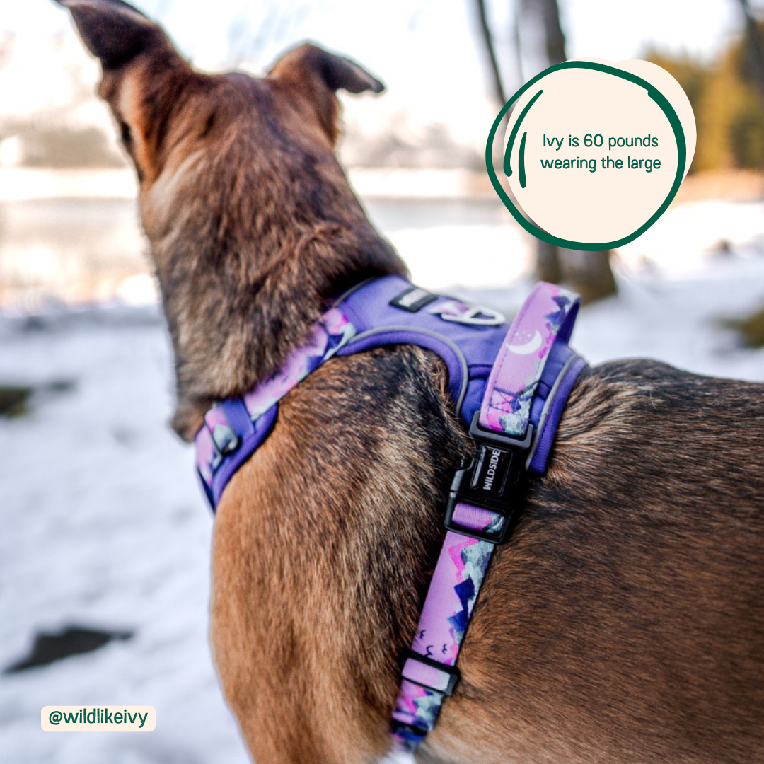 Mt. Milly Adjustable Click N' Go Harness with Handle