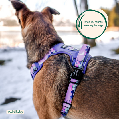 Mt. Milly Adjustable Click N' Go Harness with Handle