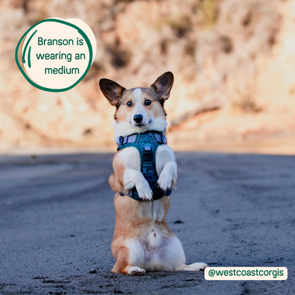 Adjustable Dog Harness with Handle