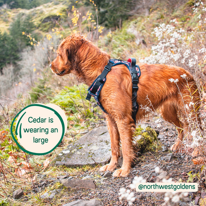 Adjustable Dog Harness with Handle