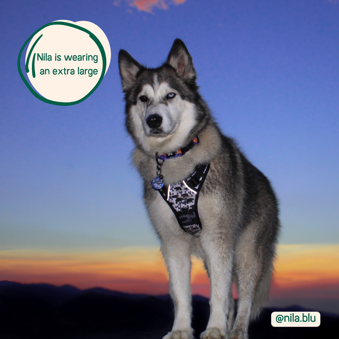 Adjustable Dog Harness with Handle