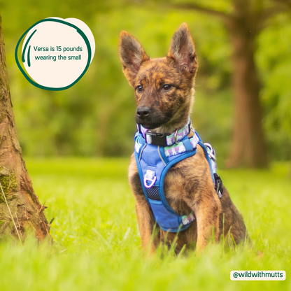 Adjustable Dog Harness with Handle