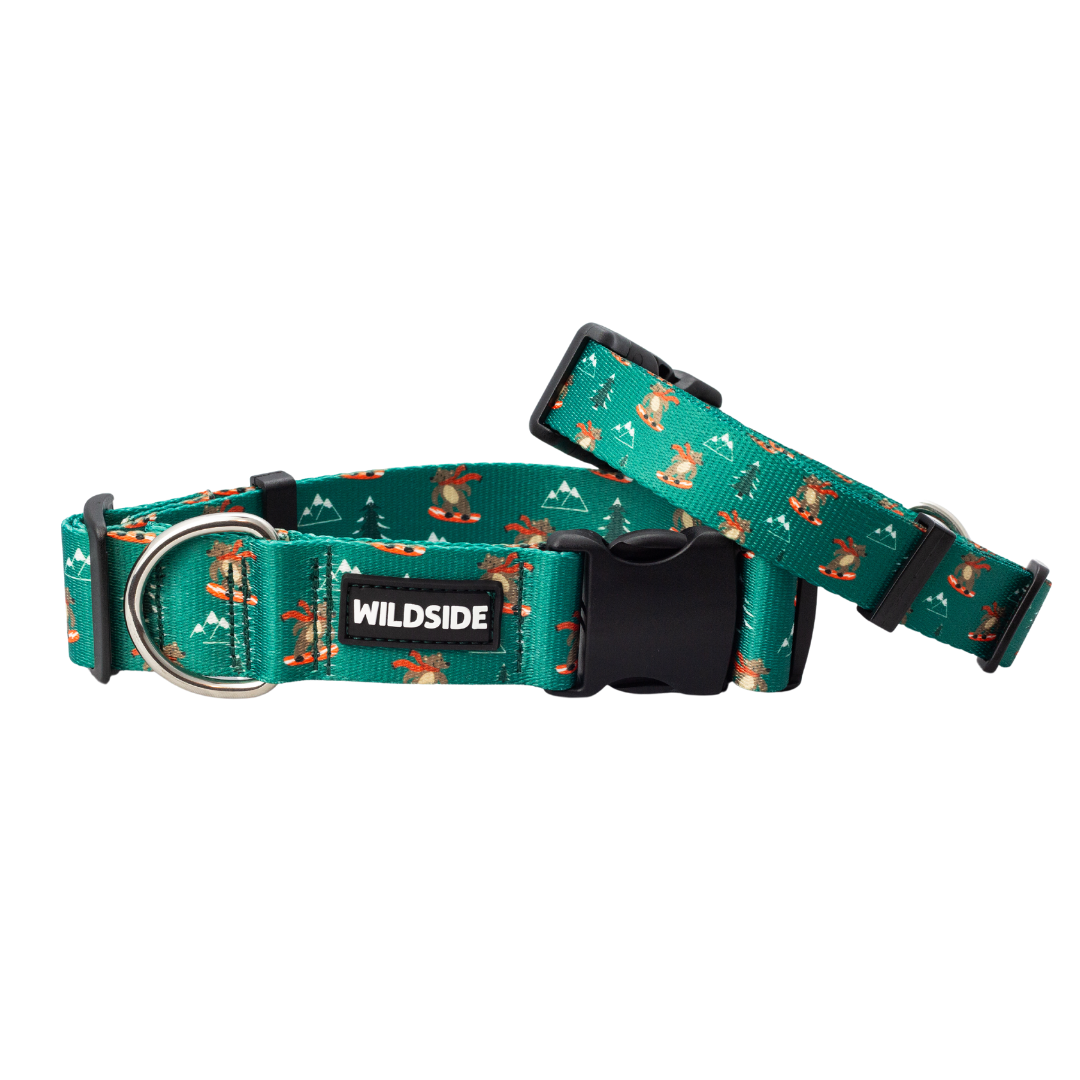 Jibby Bear Rust Proof Dog Collar