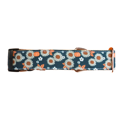 Sunflower Pumpkin Patch Rust Proof Dog Collar