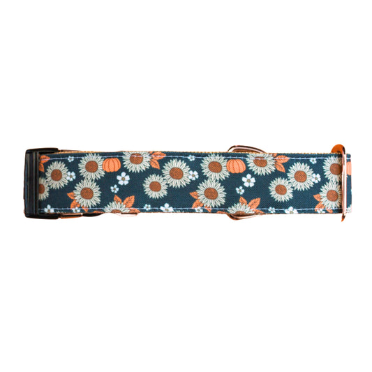 Sunflower Pumpkin Patch Rust Proof Dog Collar