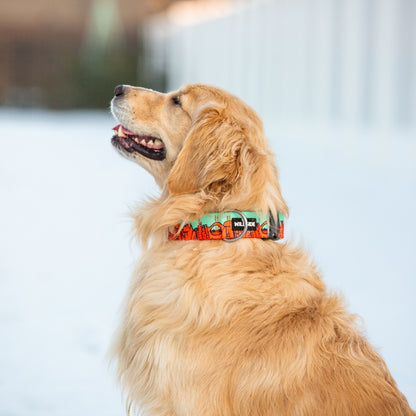 We Love Utah National Parks Rust Proof Dog Collar (mint) - Best Adventure Dog Gear for Hiking
