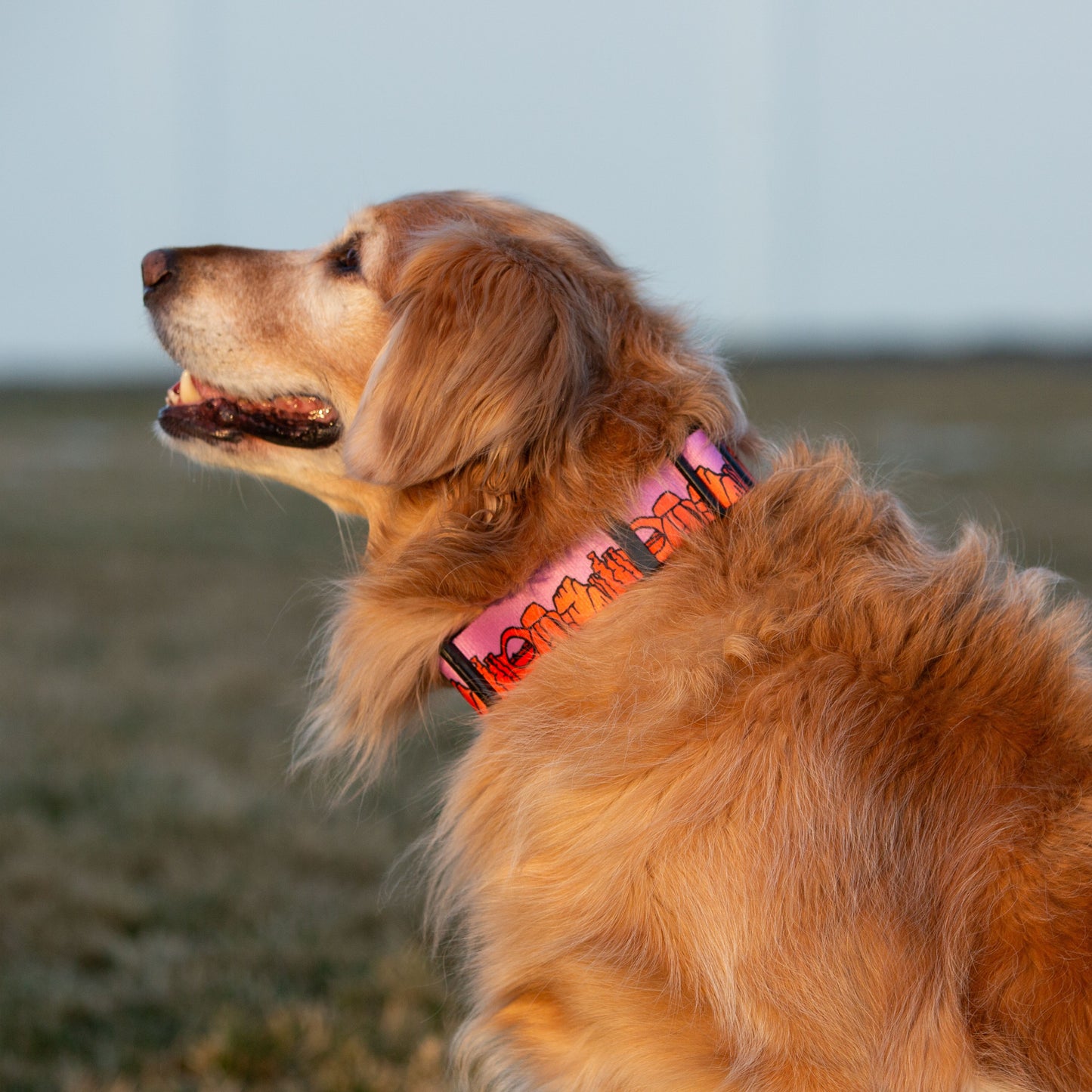 We Love Utah National Parks Rust Proof Dog Collar  (lilac)- Best Adventure Dog Gear for Hiking