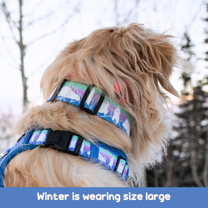 dog collar for labrador dog collar cute dog collar pink dog collar for puppy