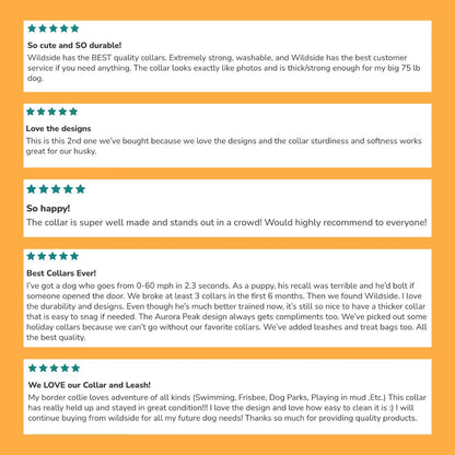 Product reviews for Wildside dog collars on a yellow background