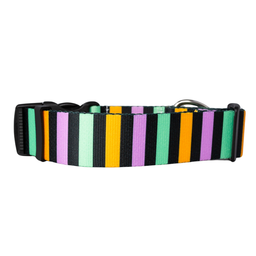 Adjustable Halloween dog collar with bold colorful stripes and rust-proof hardware