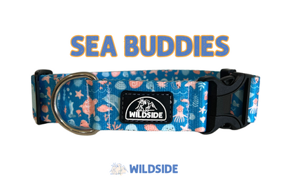 Sea Buddies Water-Resistant Dog Collar