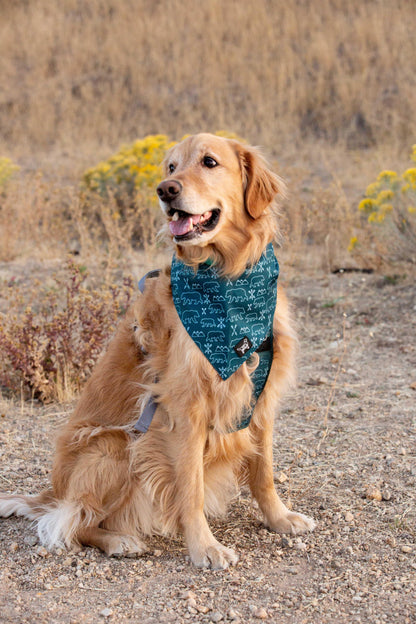 Summit Adventure Bandana ( reversible bandana) - Designs By Wildside 