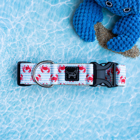 Captain Crabby Lightweight Rust Proof Dog Collar