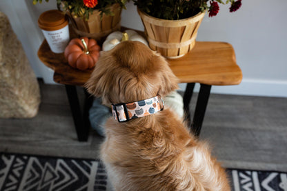 Desert Florals Eco-Canvas Dog Collar