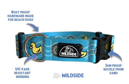 Pacifica - Buckle or Slip Dog Collar – wyldkindoutfitter