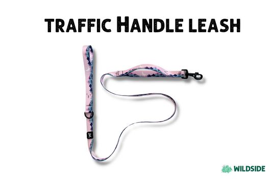 Traffic Handle Dog Leash | Hello Winter Collection